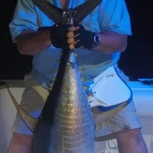 Meet your Posher, Greg